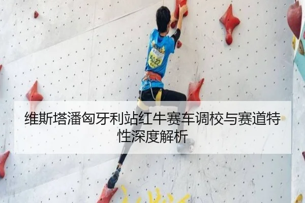 维斯塔潘匈牙利站红牛赛车调校与赛道特性深度解析
