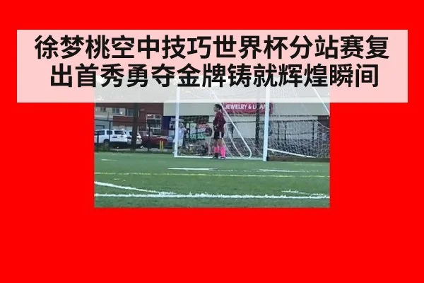 徐梦桃空中技巧世界杯分站赛复出首秀勇夺金牌铸就辉煌瞬间